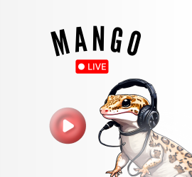 Leopard Gecko wearing a headset